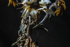 22327_DSC2262